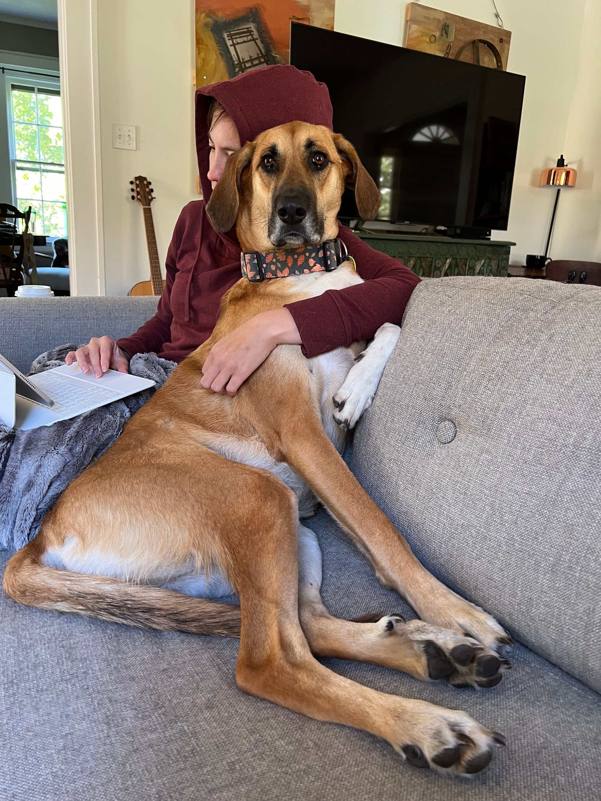 A. A. Vacharat in a red sweater dress sitting with her large brown hound dog, Saoirse